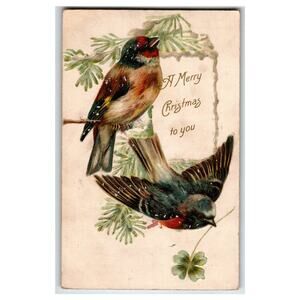 Vintage Christmas Postcard with Birds and Pine Branches, Early 1900s